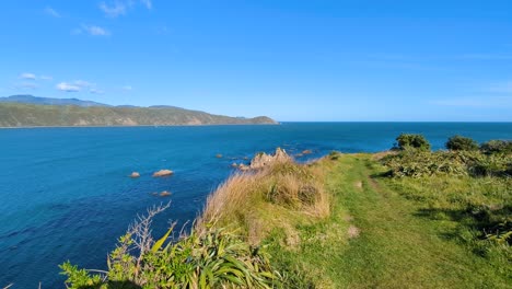 scenic view overlooking entrance to wellington harbour and turquoise blue ocean water from cliff tops in capital city of new zealand aotearoa