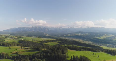 Volando-Sobre-El-Hermoso-Paisaje-De-árboles-Forestales-Panorama-22