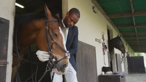 african american man putting bridle on the dressage horse