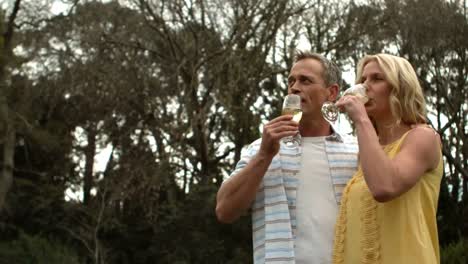 mature happy smiling couple drinking champagne