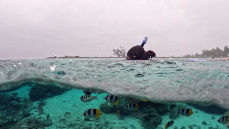 snorkeler in lagoon holding action camera while feeding fishes underwater in bora bora, french polynesia.