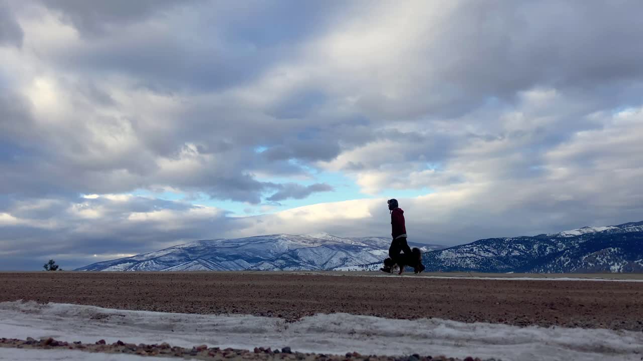 한 남자가 겨울 아침에 목줄을 풀고 개를 산책시킵니다