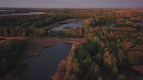 Aerial-view-of-a-landscape-park-in-Poland,-rich-forest-and-spread-lakes-visible-from-birds-eye-perspective