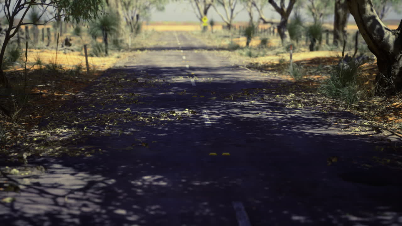 Empty rural road surrounded by trees and nature during the day