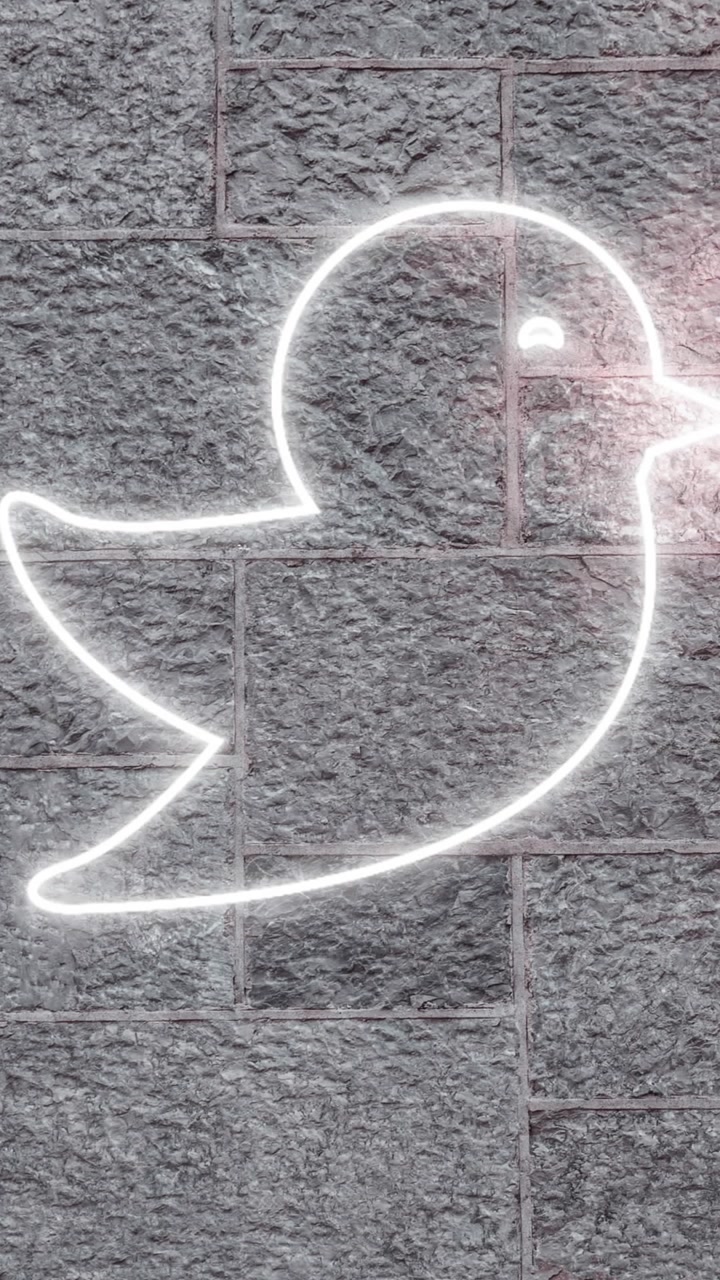 Animazione di icona di uccello al neon su muro di mattoni