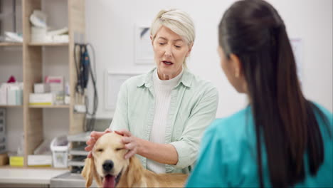 woman consulting vet, dog on table