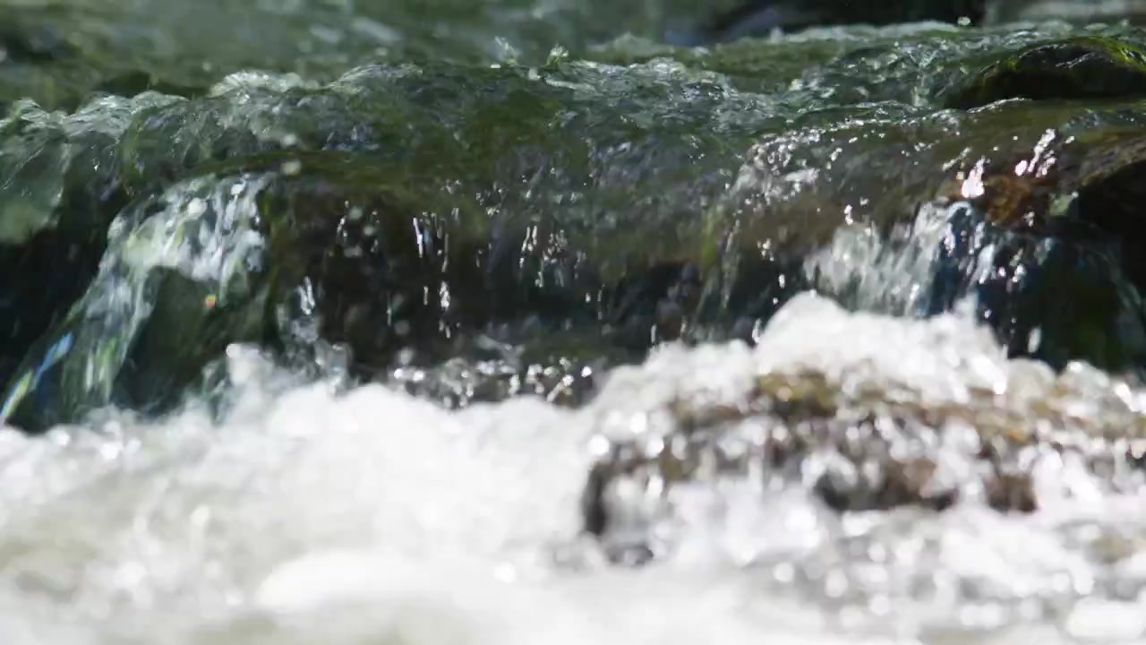 Acqua limpida scorre su rocce muschiose in un ruscello di montagna. Si forma schiuma bianca mentre la corrente colpisce le pietre. Il movimento della natura porta calma ed energia fresca. Perfetto per temi di natura, benessere o ambientali