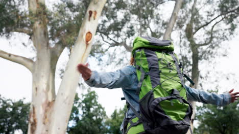 woman, forest and hiking with freedom