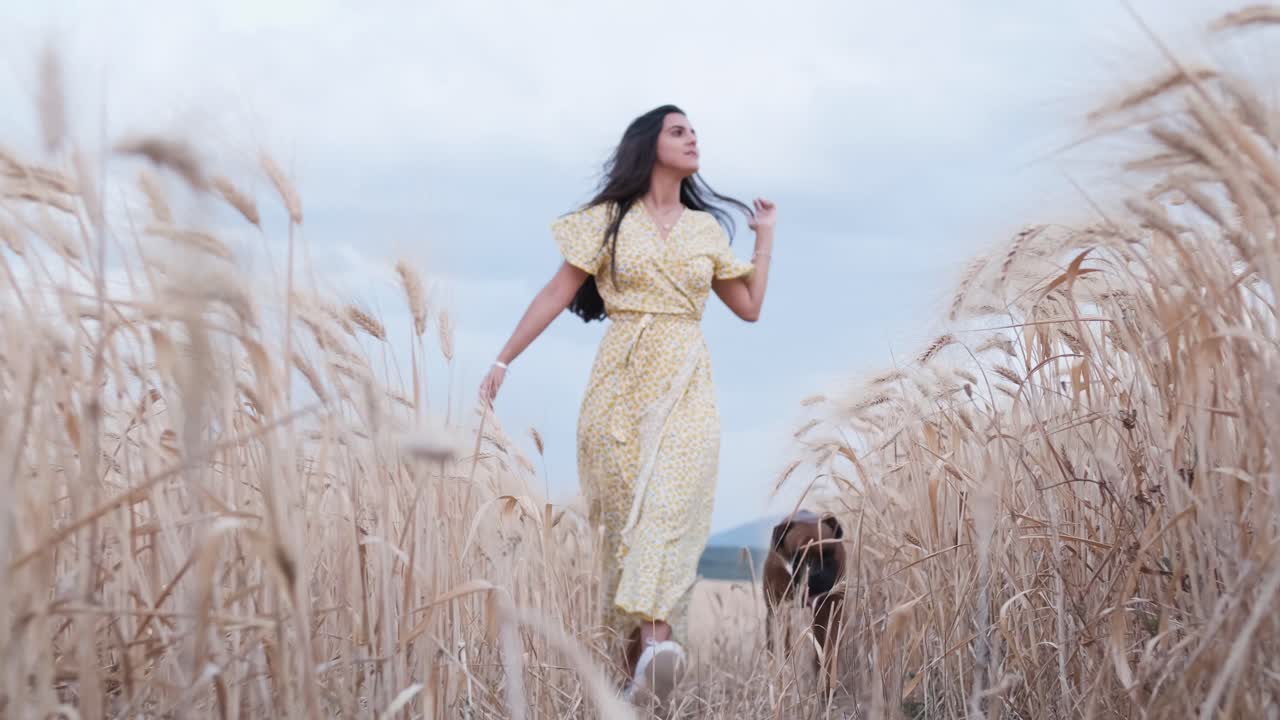 Front view of a young happy woman enjoying the nature with her dog while walking together through a wheat field.