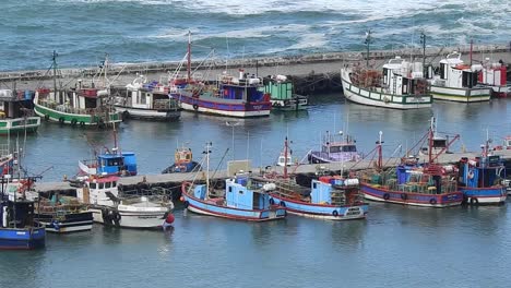 fishing boats tied up in harbour