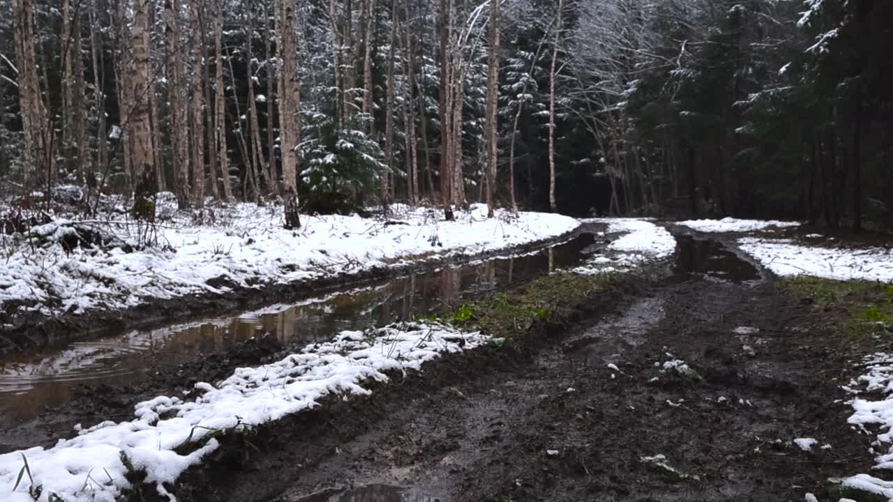 Panning footage of a muddy brown dark road or pathway in a winter forest that has white snow in between and on large trees. pathway with tire tracks is leading into the distance at cold day time