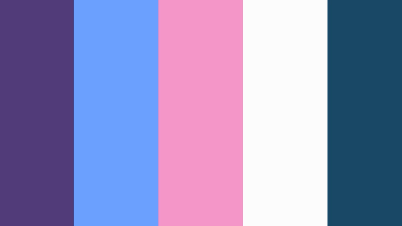 トランジション 55