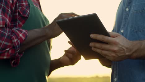 Primer-Plano-De-Las-Manos-Masculinas-De-Los-Agricultores-De-Razas-Mixtas-Con-Un-Dispositivo-De-Tableta-Mientras-Están-De-Pie-En-El-Campo-Y-Deciden-Algo,-Luego-Se-Dan-La-Mano