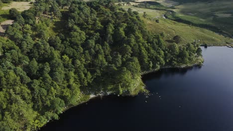 Beautiful-serene-landscape-of-Lough-Tay-Lake,-Guinness-Lake-in-the-Wicklow-Mountains,-with-the-green-forest-on-a-sunny-day