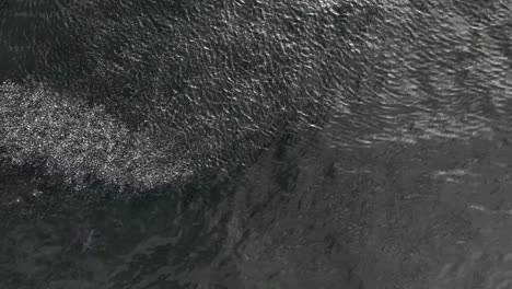 Una-Vista-De-Arriba-Hacia-Abajo-De-Un-Banco-De-Peces-En-Las-Aguas-Del-Océano-Atlántico,-Junto-A-Rockaway-Beach-En-Nueva-York