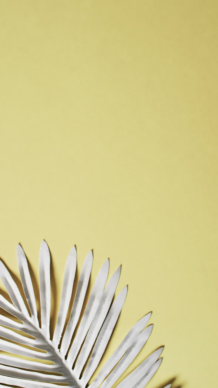 Vertical video of white leaves with copy space on yellow background