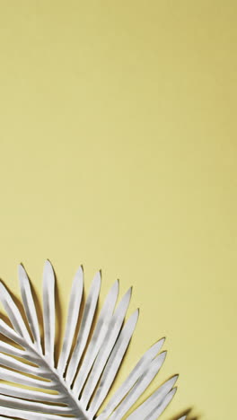 vertical video of white leaves with copy space on yellow background