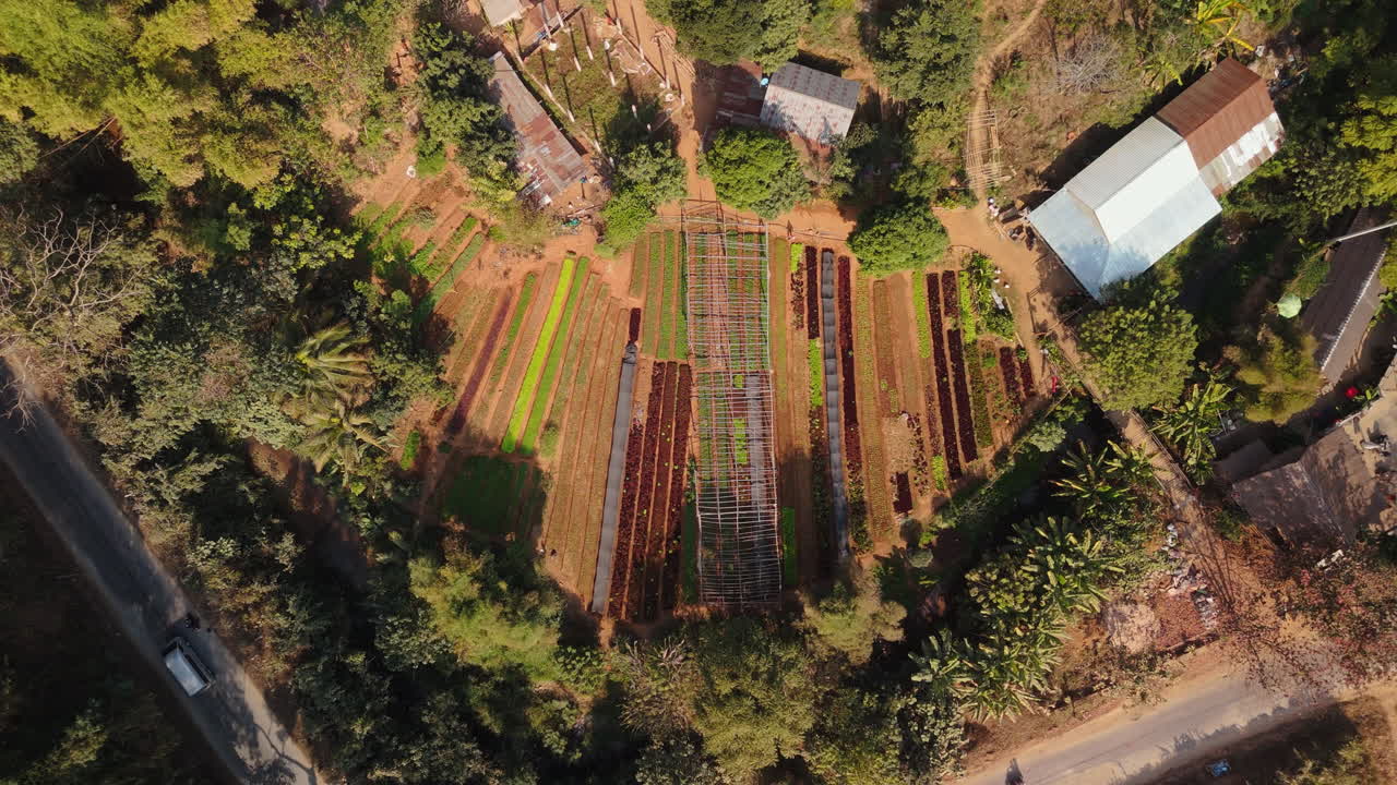 Aerial View of a Farm with Vegetable Gardens and Greenhouses