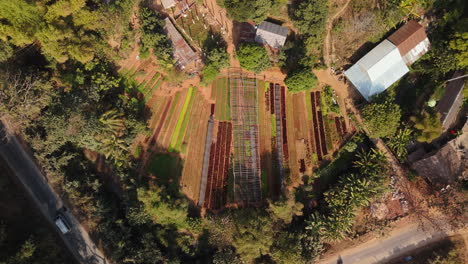 aerial view of a farm with vegetable gardens and greenhouses