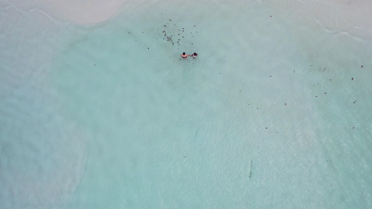 young couple in swimwear walking through crystal clear blue water on sandbar towards a beach, aerial birds eye view