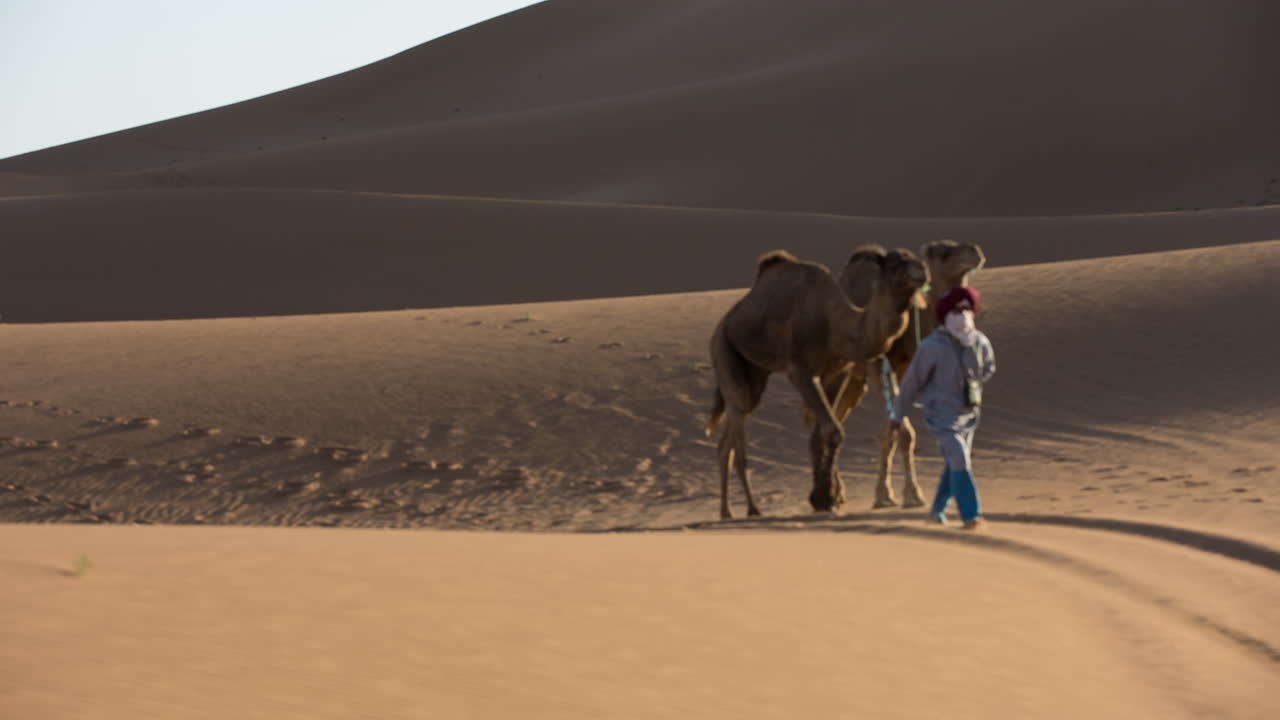 메르조가 비디오 16