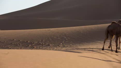 Merzouga-Video-16