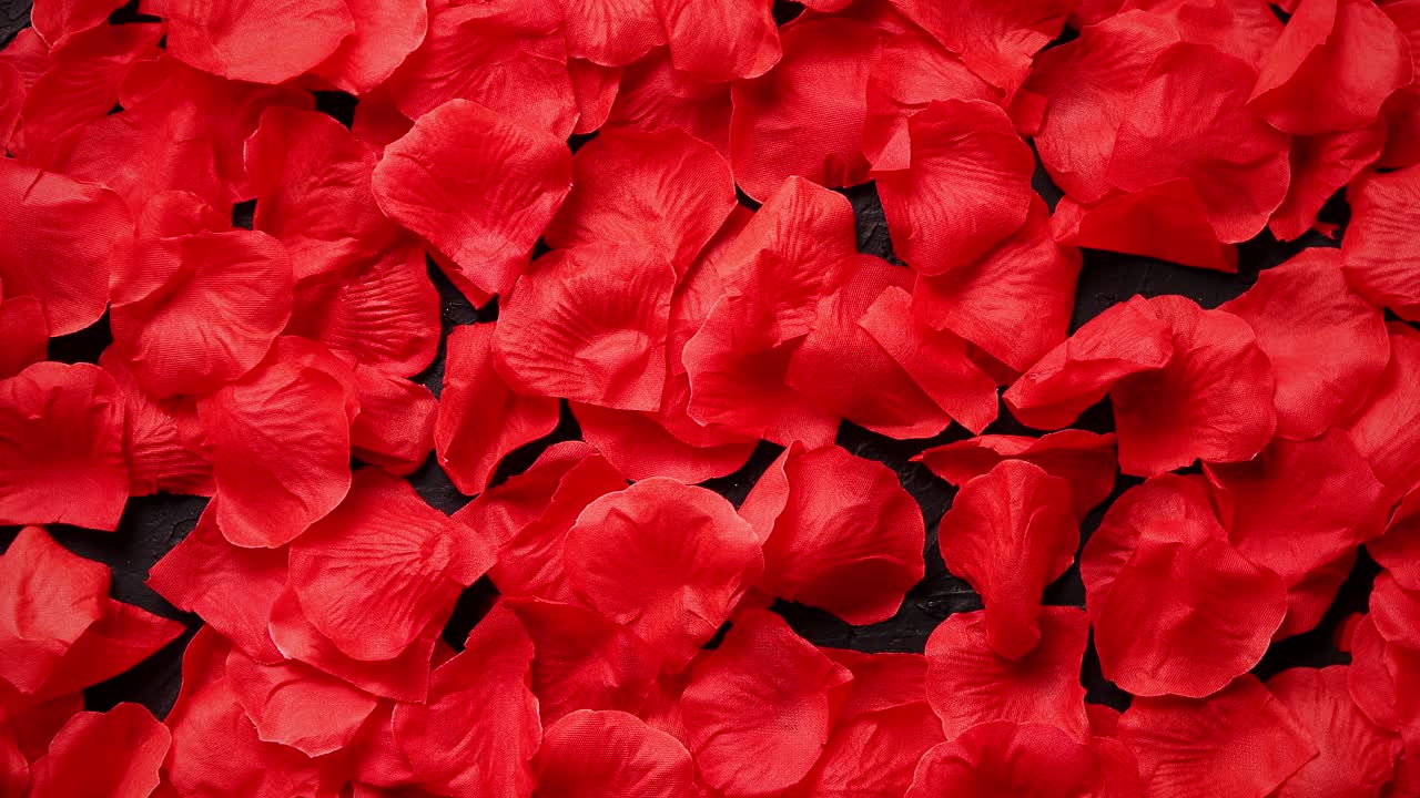 fondo de hermosa vista superior de pétalos de rosa roja