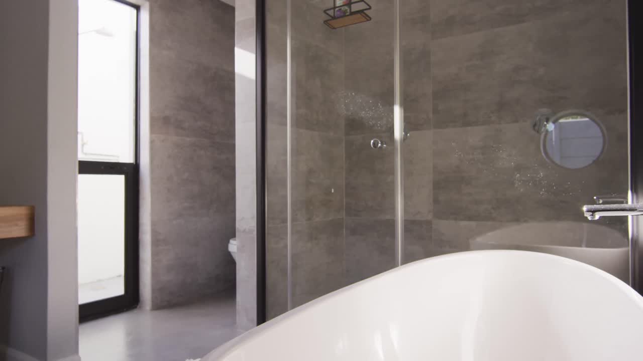 General view of luxury bathroom with shower and bathtub