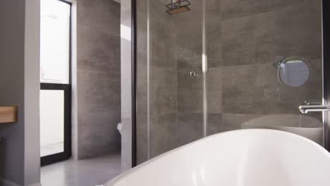 general view of luxury bathroom with shower and bathtub