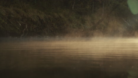 misty river sunrise