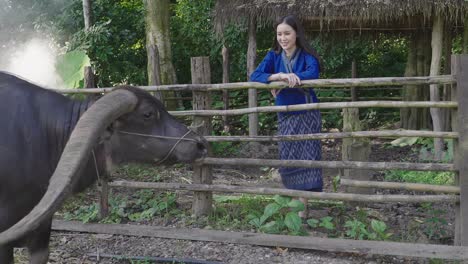 asian girl looking her buffalo