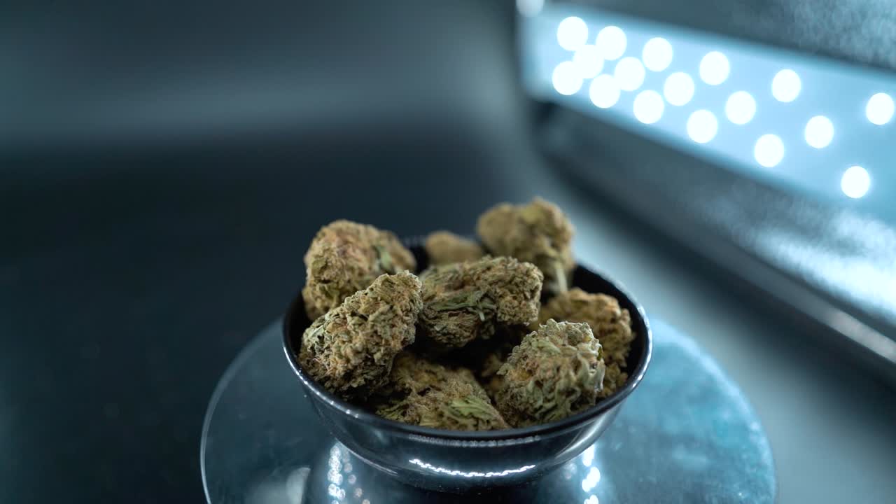 A cinematic MACRO detailed smooth crane movement shot of a cannabis plant, hybrid orange strains, Indica type, marijuana flower, slow motion 120 fps, studio LED lights, shiny rotating stand