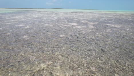 Drohne-Verfolgt-Schwarm-Von-Grätenfischen,-Die-In-Flachen-Riffen-Vor-Der-Küste-Venezuelas-Schwimmen