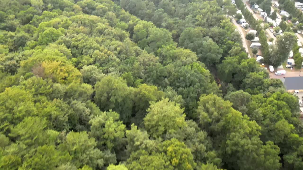 Aerial view of the lush green forest on Rügen, showcasing the natural beauty and dense woodland landscape from above.