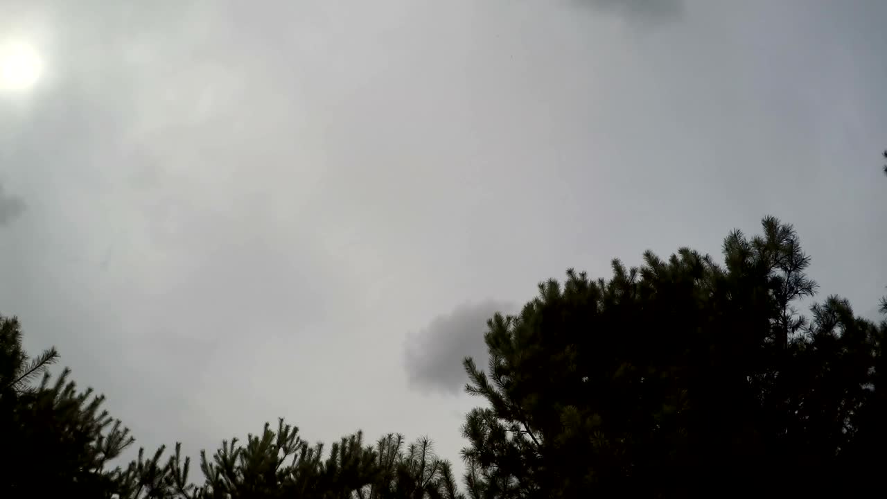 숲의 구형 파노라마, 지나가는 구름의 타임 스, 루프 비디오 360도, 행성 360도, 타임스, 공원 위에 떠다니는 구름