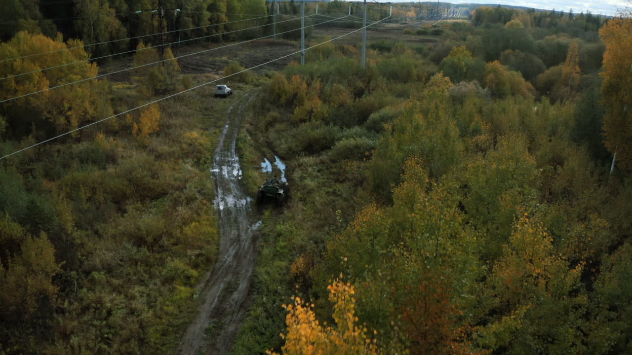 진 숲길 에서 가을 의 드라이브