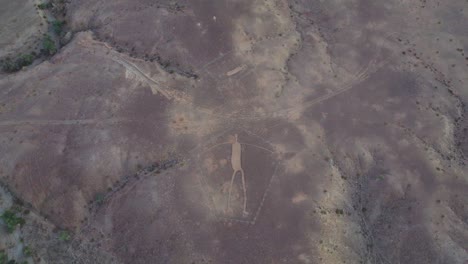 drone disparado por encima de intaglios en blythe, arizona, antiguos geoglifos en el desierto de sonora