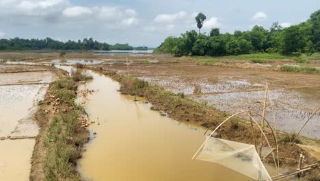 view of muddy flooded rice paddy field in rural bangladesh with small river