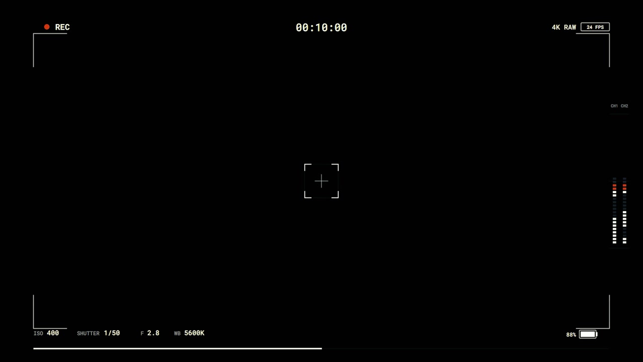 Digital Camera Viewfinder Overlay with Recording Interface