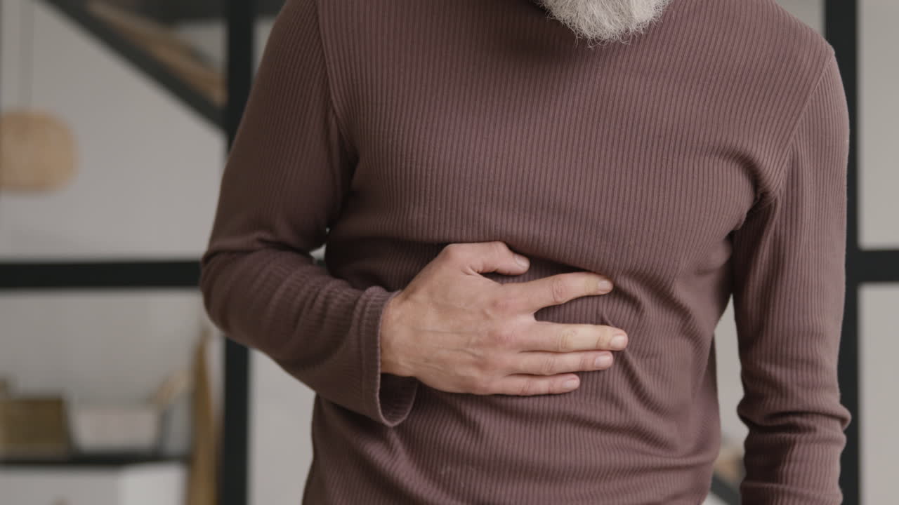 노부부는 가을 노을에 공원에서 개와 함께 산책하고 놀고 애무한다