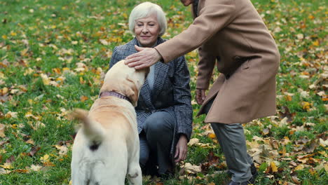 Elderly-Married-Couple-Walking-With-A-Dog,-Playing-And-Petting-It-In-The-Park-At-Sunset-In-Autumn