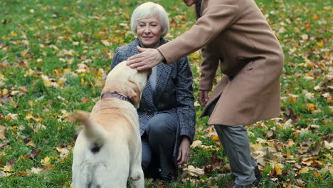 Älteres-Ehepaar,-Das-Mit-Einem-Hund-Spazieren-Geht,-Ihn-Bei-Sonnenuntergang-Im-Herbst-Im-Park-Spielt-Und-Streichelt