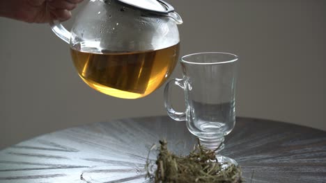 pouring of cerasee tea kerala bitter melon plant with kerala hanging from vines used to make herbal healthy tea good for weight loss