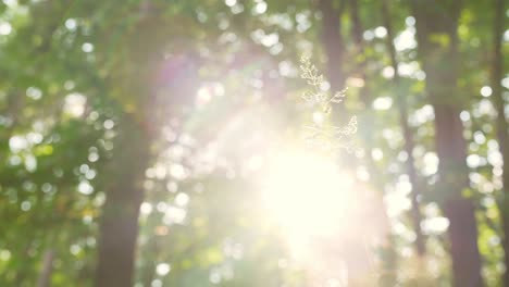 Aufwachen-Aus-Einem-Wunderschönen-Sonnenscheintraum-Von-Wäldern