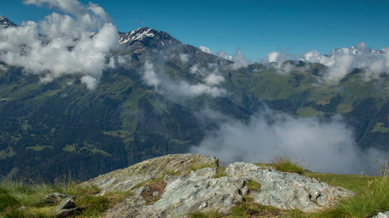 베르비에 잔디 보기 4k 05