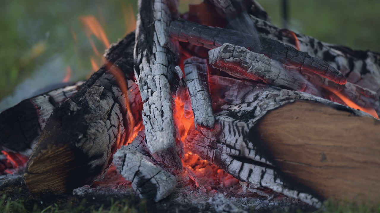 Close-up of burning firewood with glowing embers