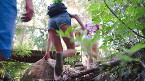 vista de bajo ángulo de un grupo caminando en el bosque, cruzando un puente