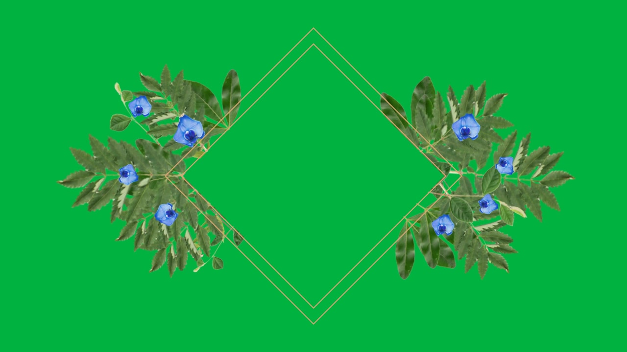 Animated Floral Frame with Blue Flowers on Green Screen