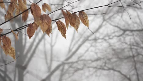 Foggy-background-of-dense-water-vapor-during-snow-melt