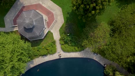 Aerial-drone-shot-of-person-walking-their-dog-around-the-Goodale-park-pond-in-downtown-Columbus,-Ohio